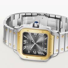 Cartier Santos de Cartier Stainless Steel & 18K Yellow Gold Men's Watch - Image 3