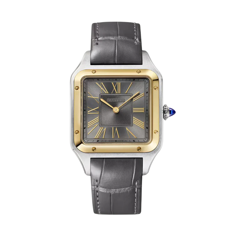 Cartier Santos-Dumont Stainless Steel & 18K Yellow Gold Men's Watch