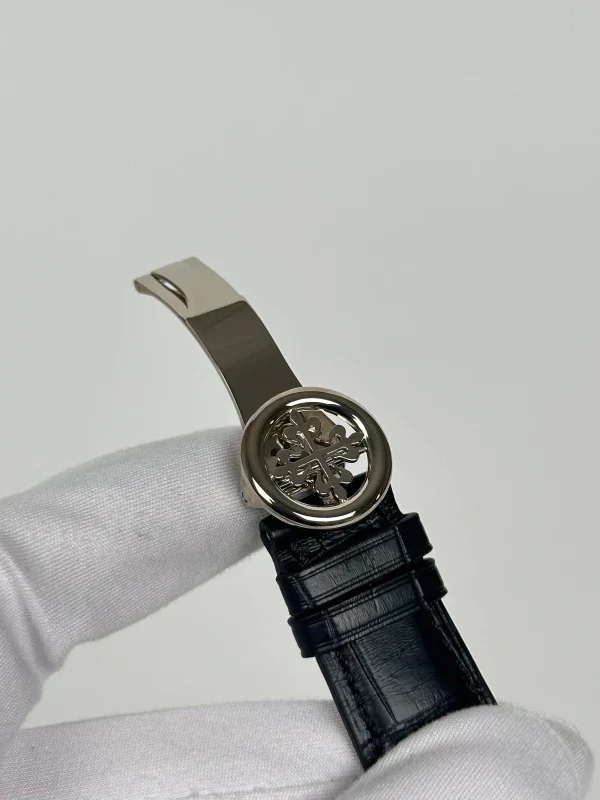 Patek Philippe Grand Complications Celestial Platinum Men's Watch - Image 9